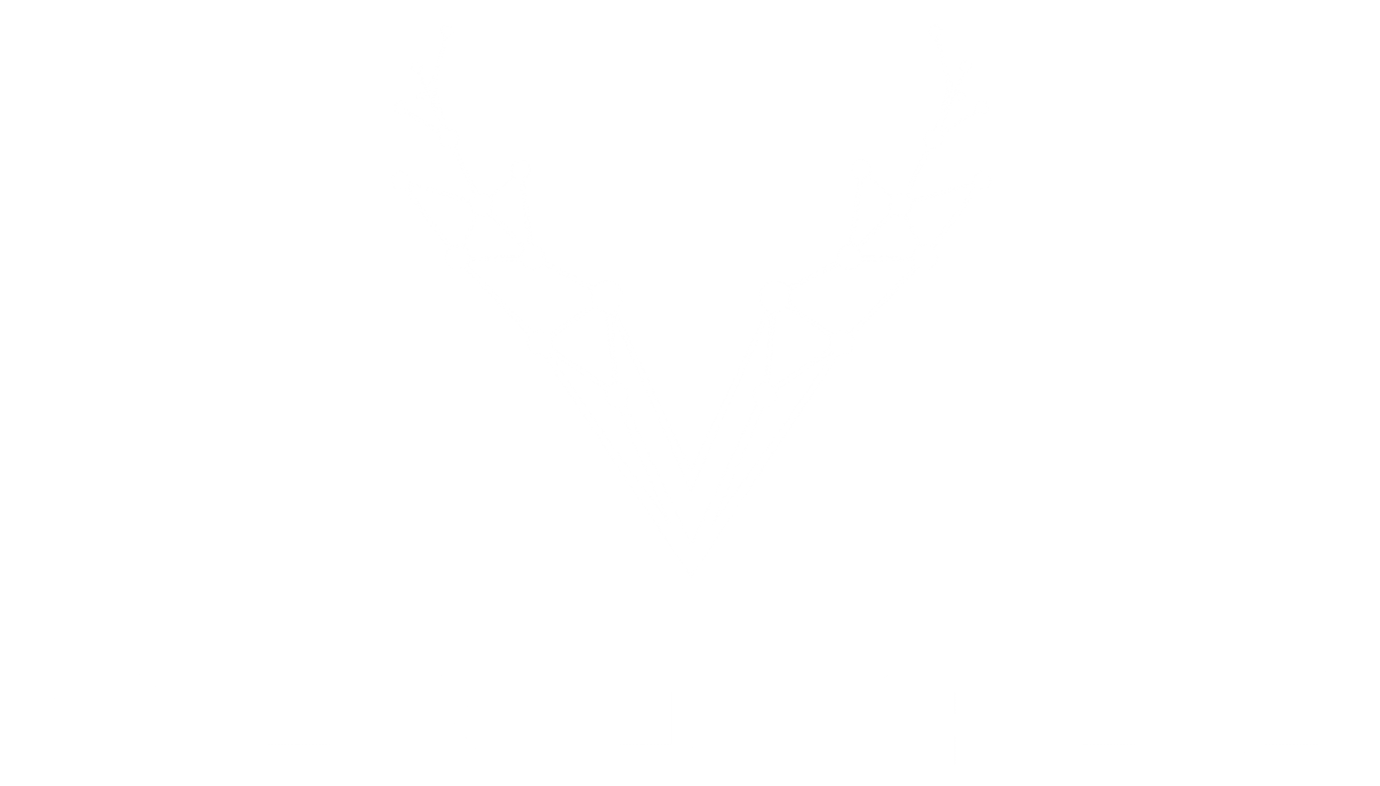 Vendiago Enterprises
